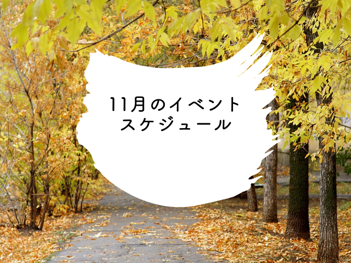 11月のイベントスケジュール